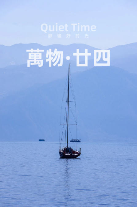 兔宝宝板纸一体化|“萬物·廿四”胡桃木半山纹，安享静谧好时光